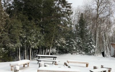 Winter on Maple Lake